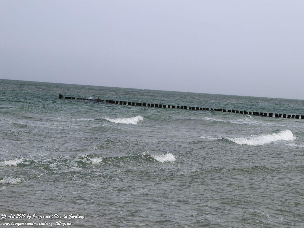 Philosophische Bildwanderung Prerow nach Zingst - Mecklenburg-Vorpommern - Ostsee