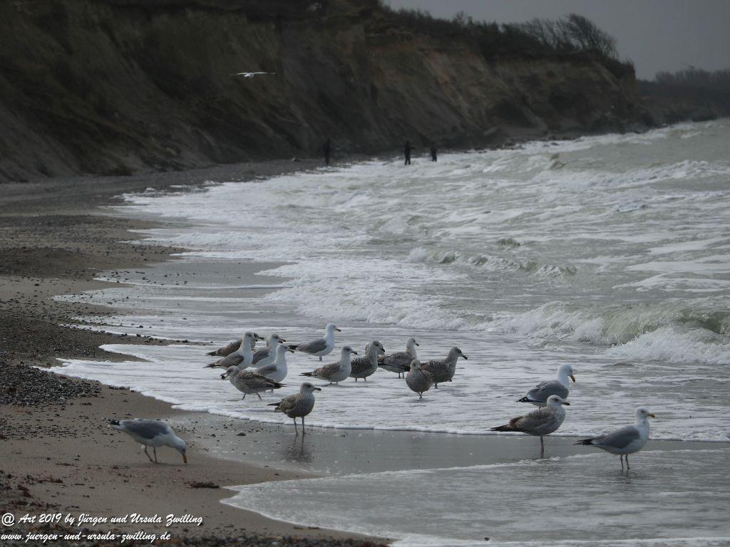 Philosophische Bildwanderung Hohe Ufer Ahrenshoop und Wustrow - Steilküste -Fischland - Mecklenburg-Vorpommern - Ostsee