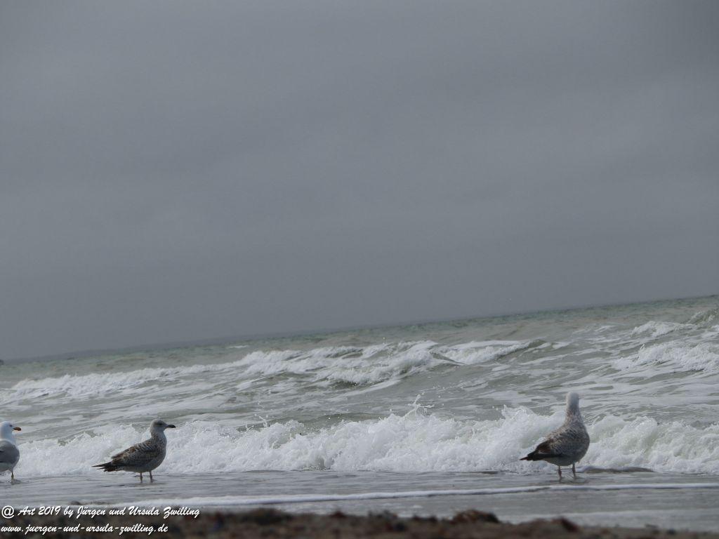 Philosophische Bildwanderung Hohe Ufer Ahrenshoop und Wustrow - Steilküste -Fischland - Mecklenburg-Vorpommern - Ostsee