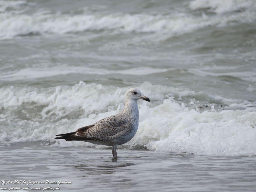 Philosophische Bildwanderung Hohe Ufer Ahrenshoop und Wustrow - Steilküste -Fischland - Mecklenburg-Vorpommern - Ostsee