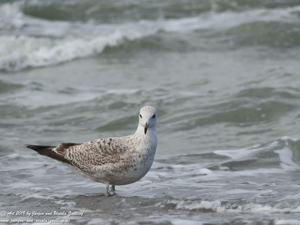 Philosophische Bildwanderung Hohe Ufer Ahrenshoop und Wustrow - Steilküste -Fischland - Mecklenburg-Vorpommern - Ostsee