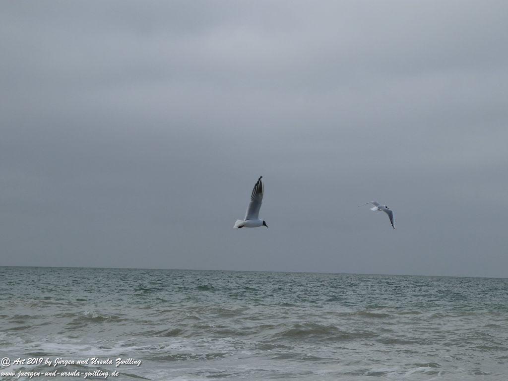 Philosophische Bildwanderung Hohe Ufer Ahrenshoop und Wustrow - Steilküste -Fischland - Mecklenburg-Vorpommern - Ostsee