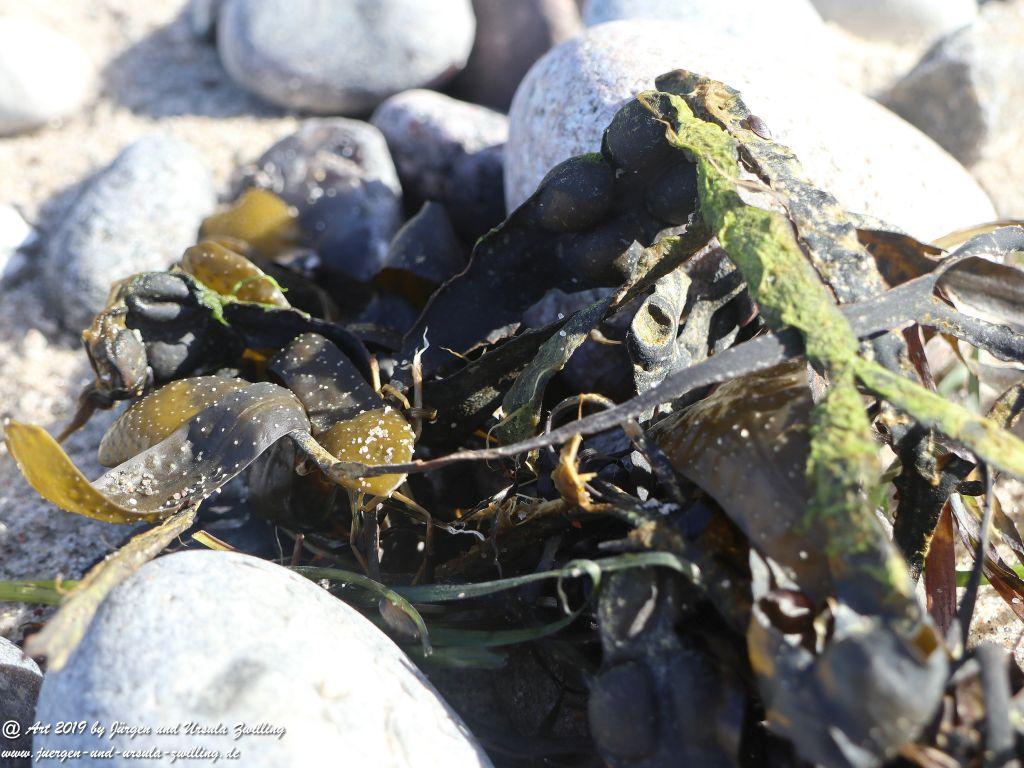 Philosophische Bildwanderung Hohe Ufer Ahrenshoop und Wustrow - Steilküste -Fischland - Mecklenburg-Vorpommern - Ostsee