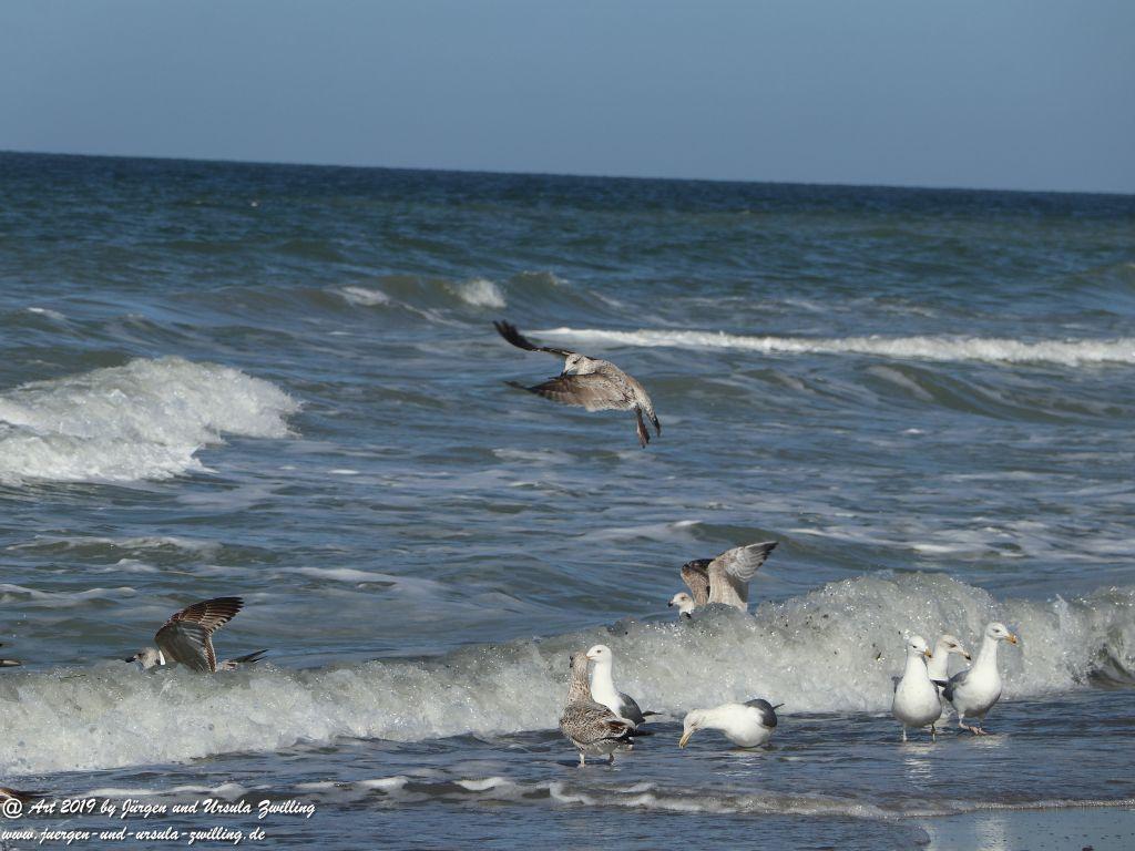 Philosophische Bildwanderung Hohe Ufer Ahrenshoop und Wustrow - Steilküste -Fischland - Mecklenburg-Vorpommern - Ostsee