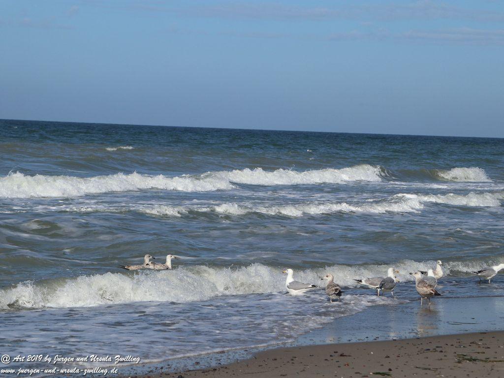 Philosophische Bildwanderung Hohe Ufer Ahrenshoop und Wustrow - Steilküste -Fischland - Mecklenburg-Vorpommern - Ostsee