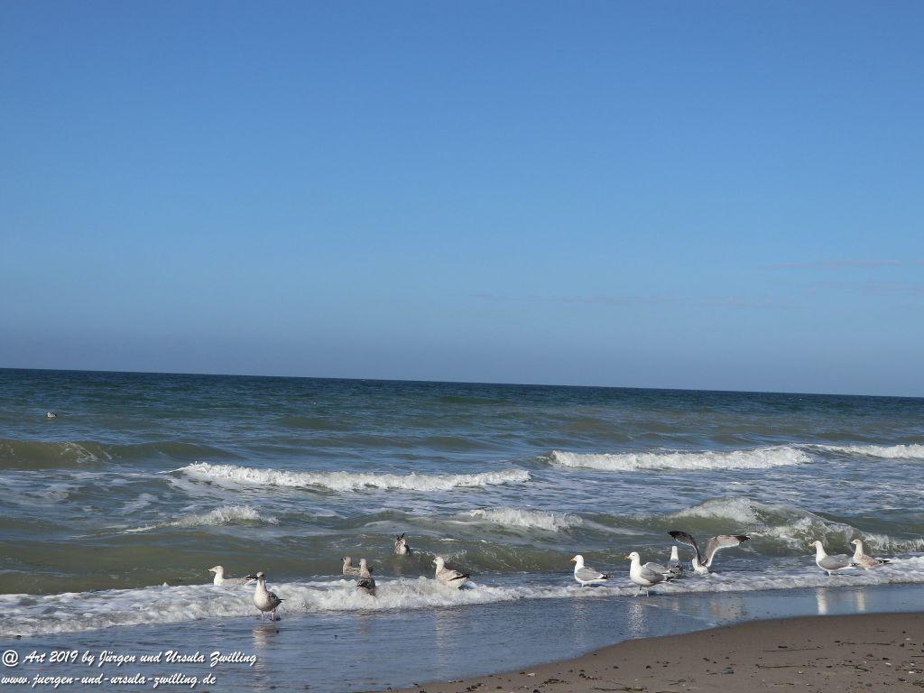 Philosophische Bildwanderung Hohe Ufer Ahrenshoop und Wustrow - Steilküste -Fischland - Mecklenburg-Vorpommern - Ostsee