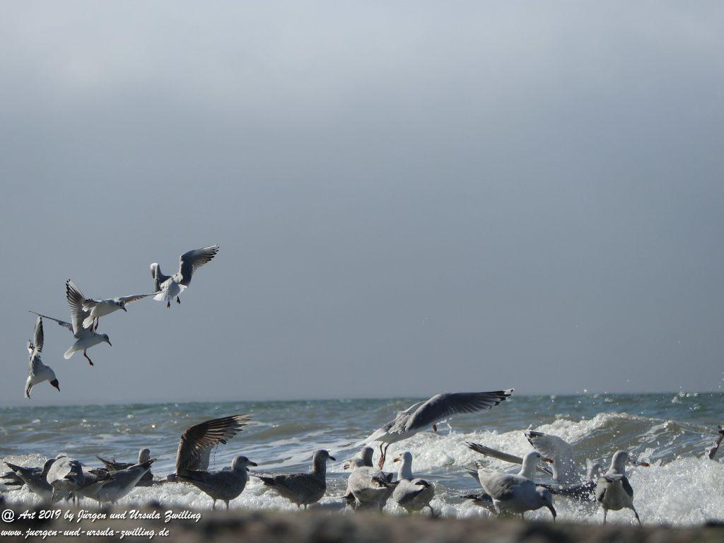 Philosophische Bildwanderung  Hohe Ufer  Ahrenshoop und Wustrow - Steilküste  -Fischland - Mecklenburg-Vorpommern - Ostsee