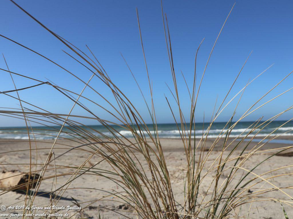 Philosophische Bildwanderung Hohe Ufer Ahrenshoop und Wustrow - Steilküste -Fischland - Mecklenburg-Vorpommern - Ostsee