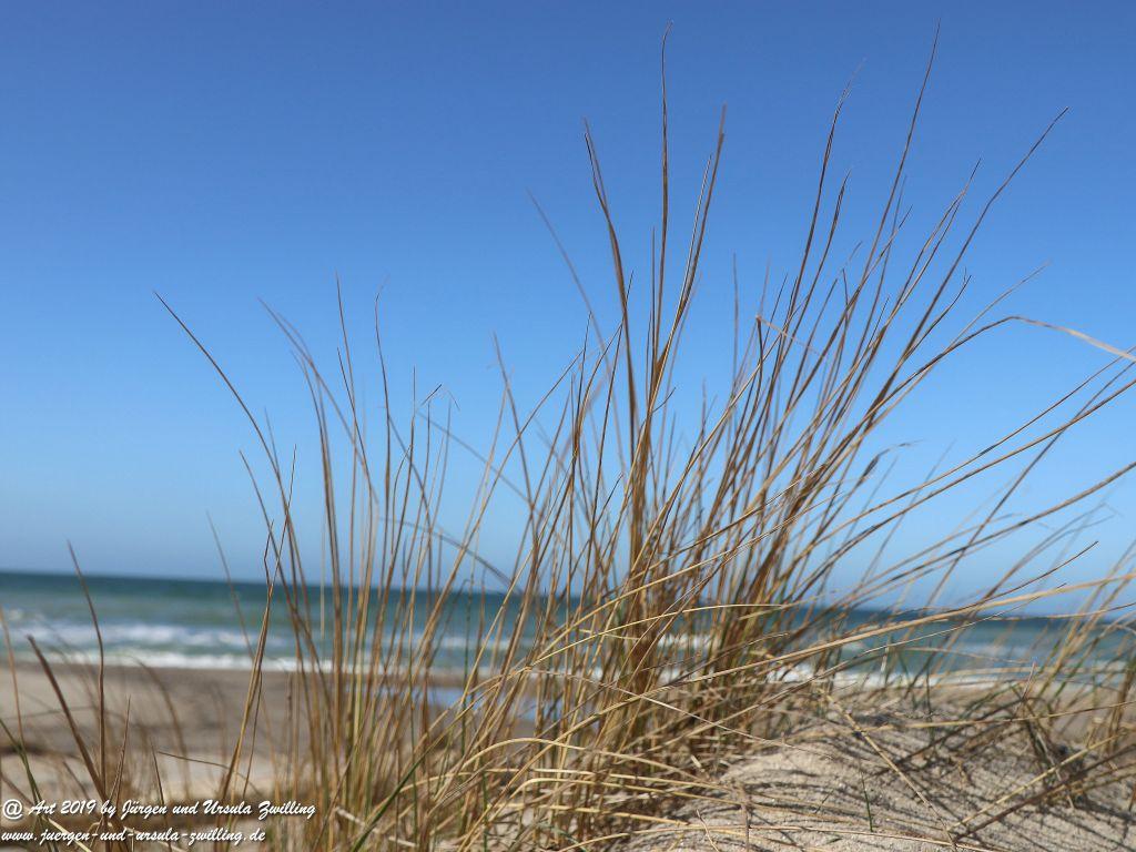 Philosophische Bildwanderung Hohe Ufer Ahrenshoop und Wustrow - Steilküste -Fischland - Mecklenburg-Vorpommern - Ostsee