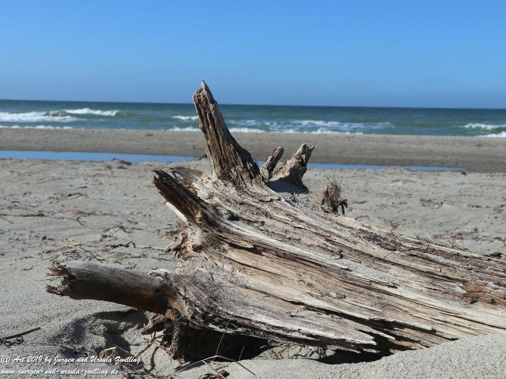 Philosophische Bildwanderung Hohe Ufer Ahrenshoop und Wustrow - Steilküste -Fischland - Mecklenburg-Vorpommern - Ostsee