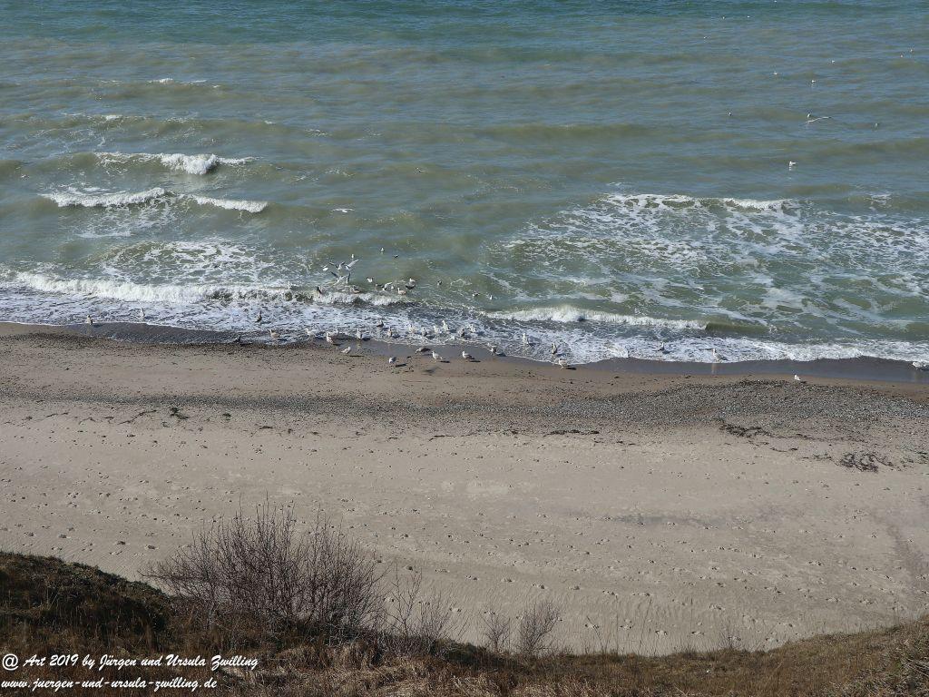 Philosophische Bildwanderung Hohe Ufer Ahrenshoop und Wustrow - Steilküste -Fischland - Mecklenburg-Vorpommern - Ostsee