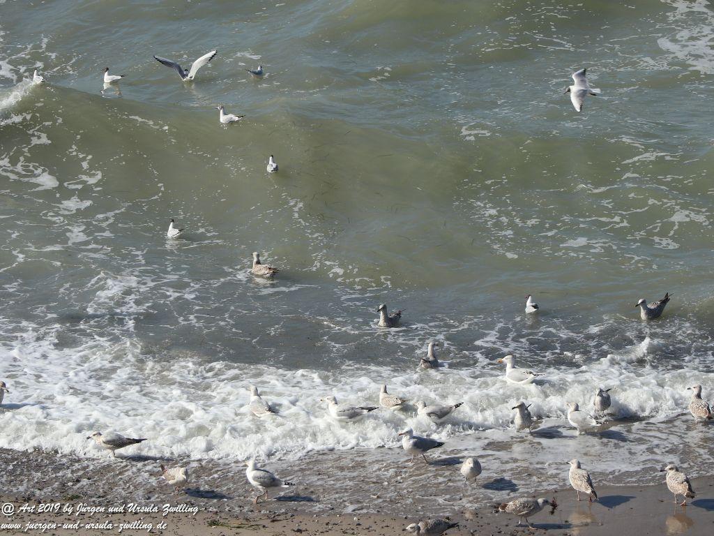 Philosophische Bildwanderung Hohe Ufer Ahrenshoop und Wustrow - Steilküste -Fischland - Mecklenburg-Vorpommern - Ostsee