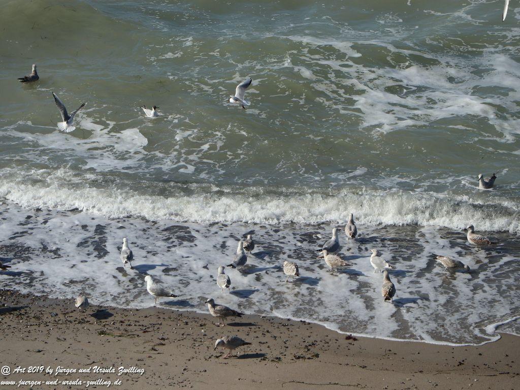 Philosophische Bildwanderung Hohe Ufer Ahrenshoop und Wustrow - Steilküste -Fischland - Mecklenburg-Vorpommern - Ostsee