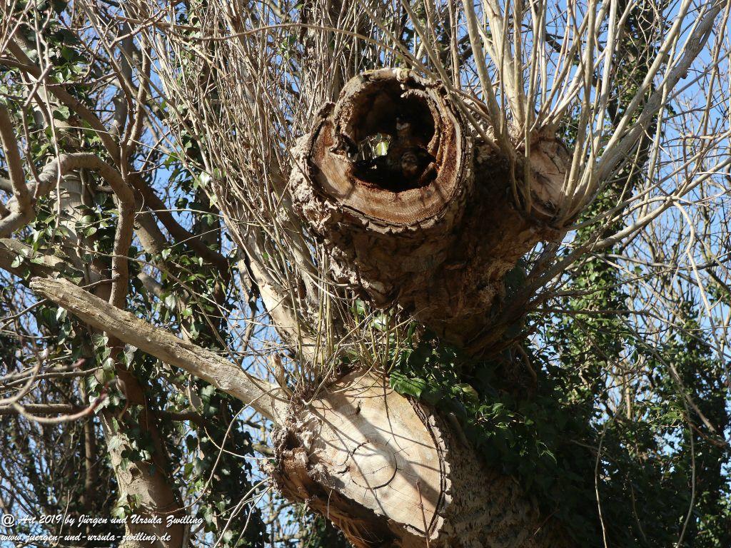 Philosophische Bildwanderung Hohe Ufer Ahrenshoop und Wustrow - Steilküste -Fischland - Mecklenburg-Vorpommern - Ostsee