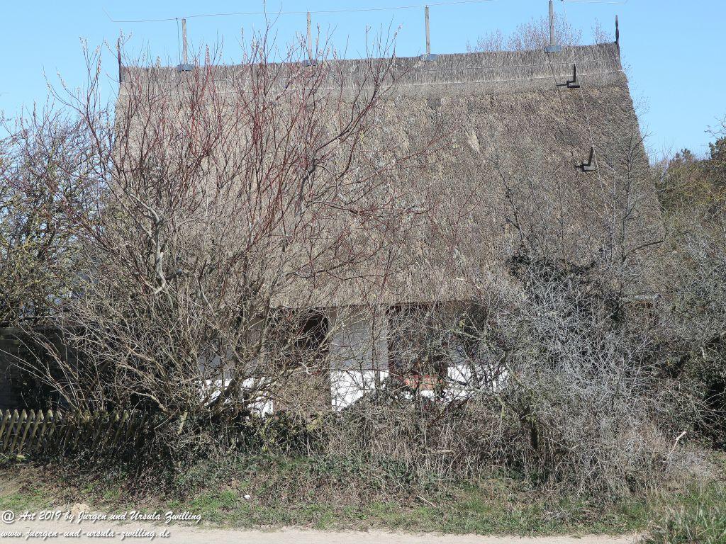 Philosophische Bildwanderung Hohe Ufer Ahrenshoop und Wustrow - Steilküste -Fischland - Mecklenburg-Vorpommern - Ostsee