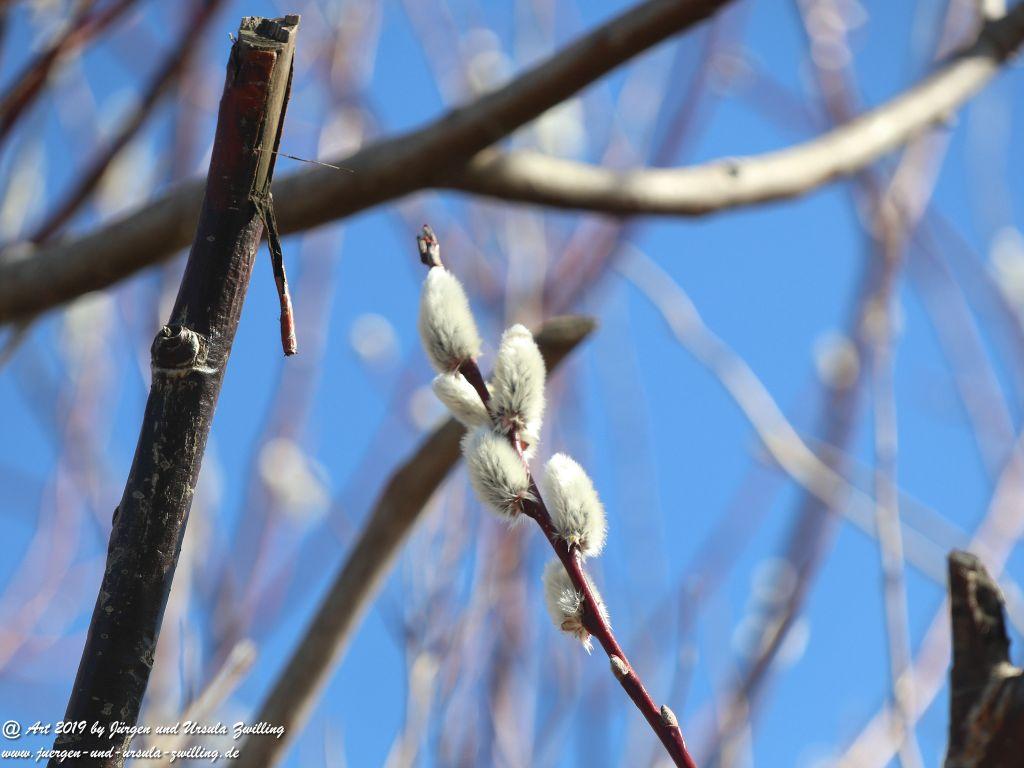 Philosophische Bildwanderung Hohe Ufer Ahrenshoop und Wustrow - Steilküste -Fischland - Mecklenburg-Vorpommern - Ostsee