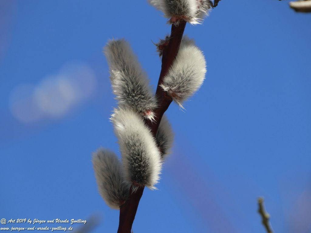 Philosophische Bildwanderung Hohe Ufer Ahrenshoop und Wustrow - Steilküste -Fischland - Mecklenburg-Vorpommern - Ostsee