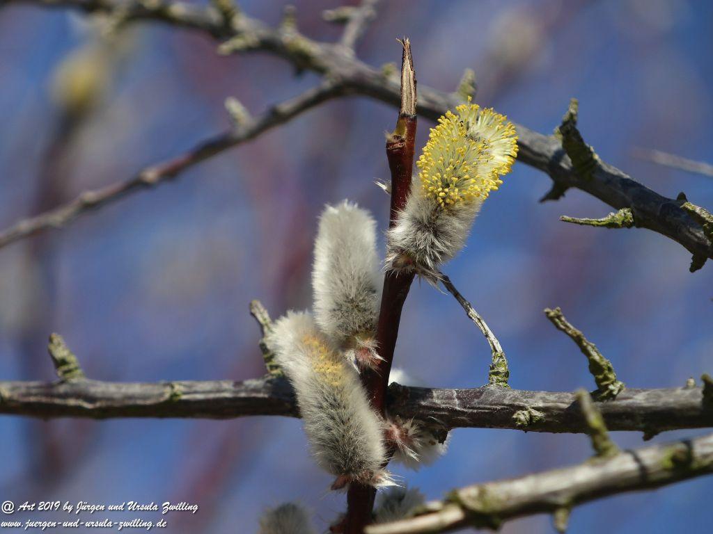 Philosophische Bildwanderung Hohe Ufer Ahrenshoop und Wustrow - Steilküste -Fischland - Mecklenburg-Vorpommern - Ostsee