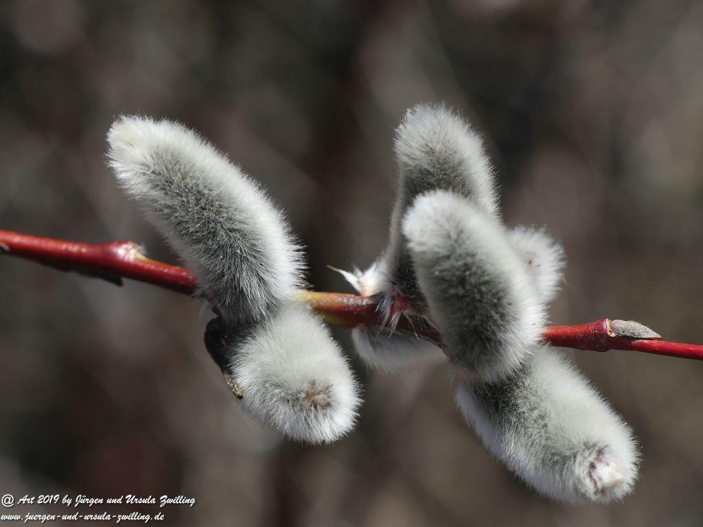 Philosophische Bildwanderung Hohe Ufer Ahrenshoop und Wustrow - Steilküste -Fischland - Mecklenburg-Vorpommern - Ostsee