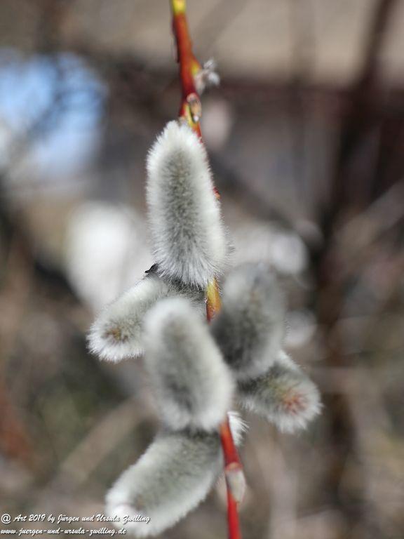Philosophische Bildwanderung Hohe Ufer Ahrenshoop und Wustrow - Steilküste -Fischland - Mecklenburg-Vorpommern - Ostsee