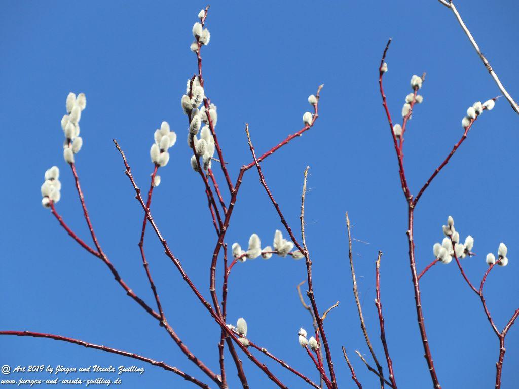 Philosophische Bildwanderung Hohe Ufer Ahrenshoop und Wustrow - Steilküste -Fischland - Mecklenburg-Vorpommern - Ostsee