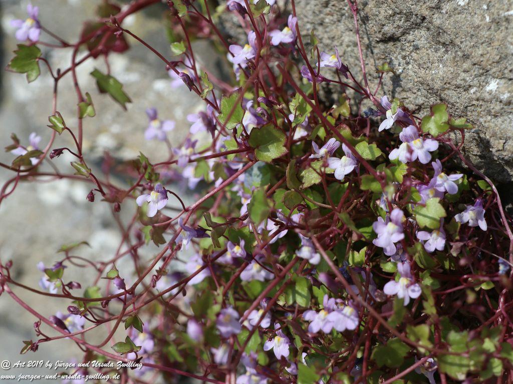 Vielsalm -Belgien - Provinz Luxemburg