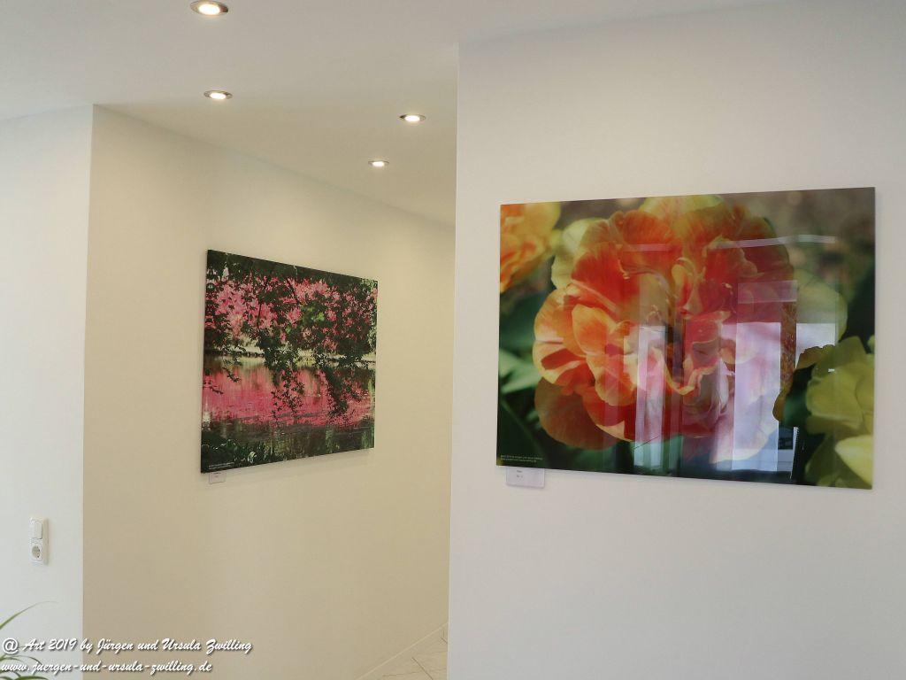 Blick und Einladung in unsere Galerie - Tulpe auf Acrylglas