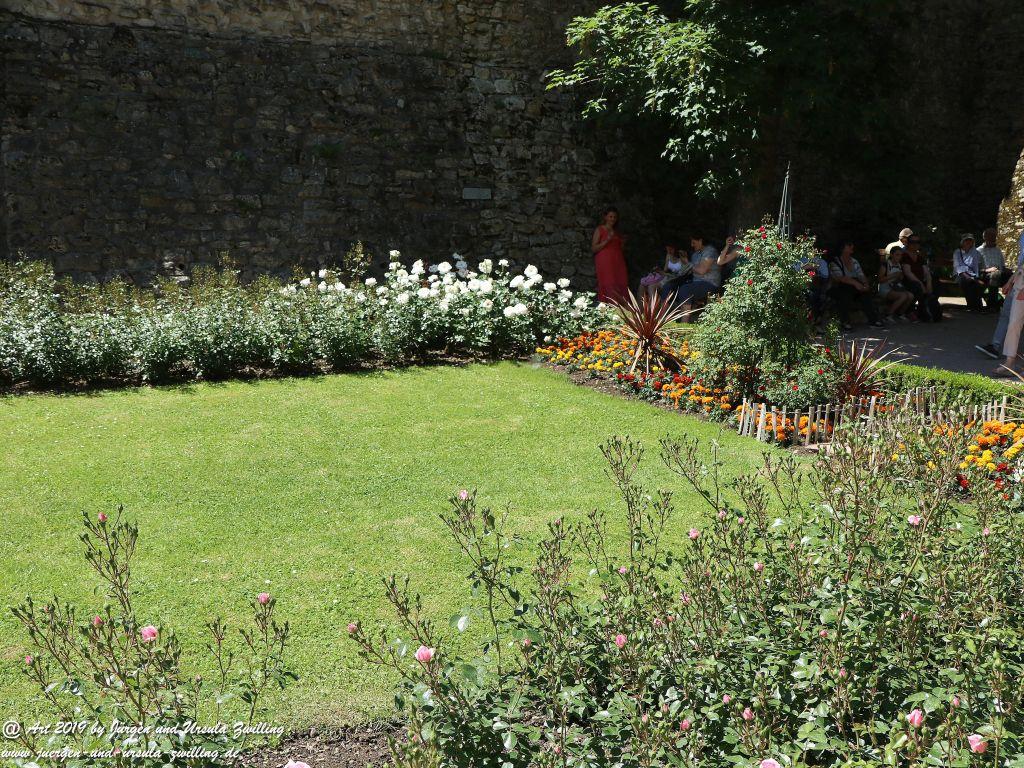 Rosentage in Eltville am Rhein -Rheingau