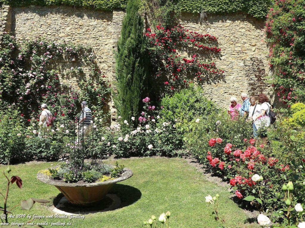 Rosentage in Eltville am Rhein -Rheingau