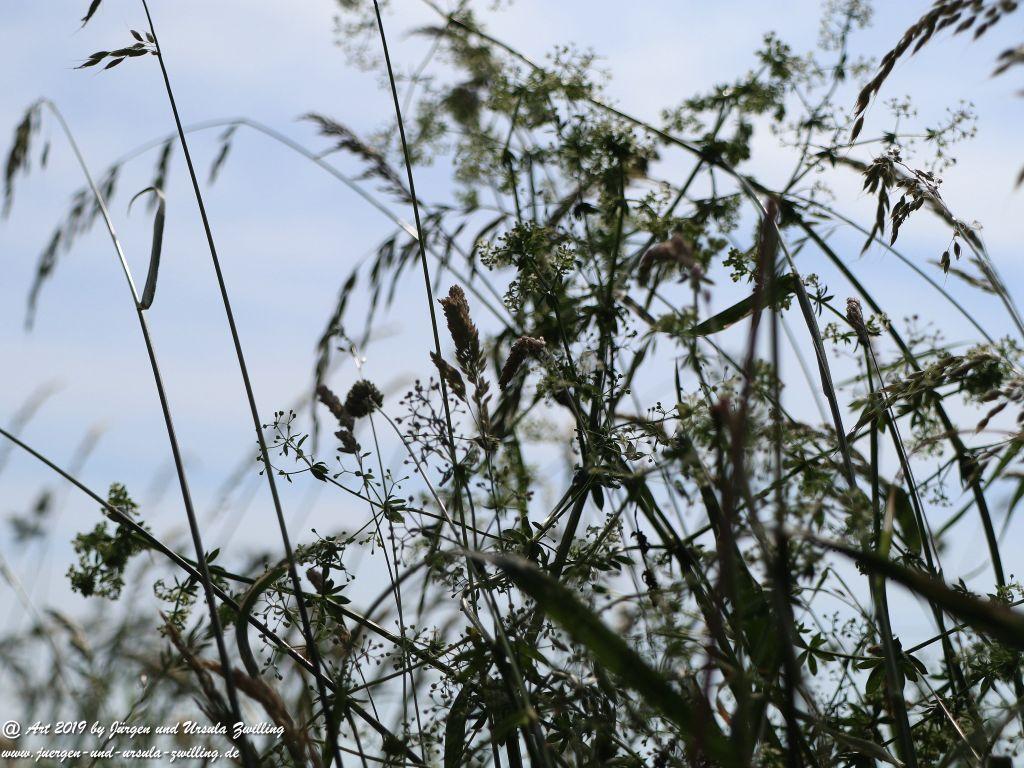 Herrenchiemsee - Schloss Herrenchiemsee - Chiemsee - Bayern