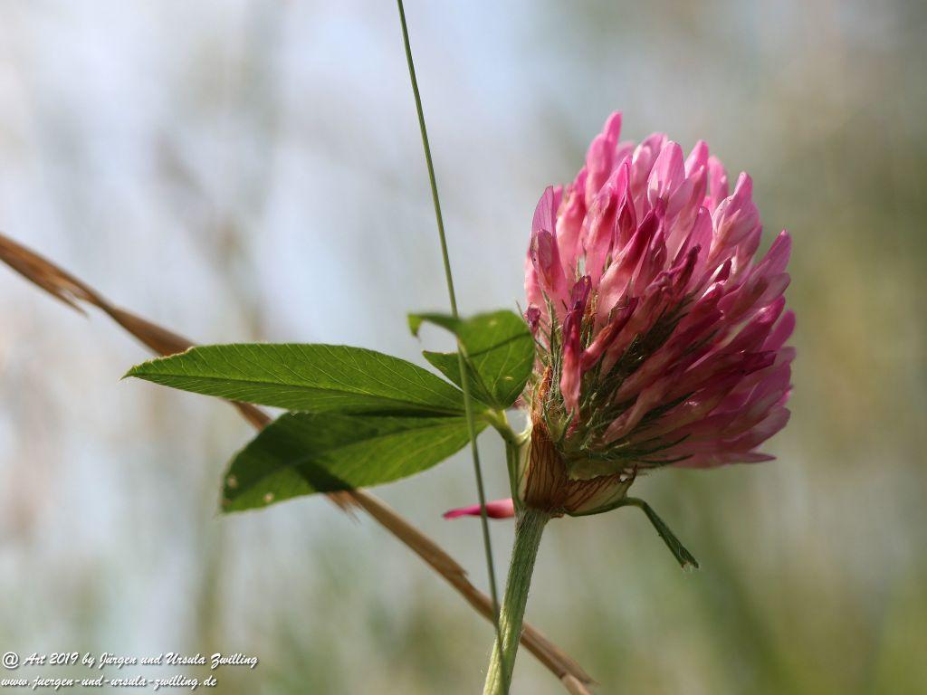 Herrenchiemsee - Schloss Herrenchiemsee - Chiemsee - Bayern