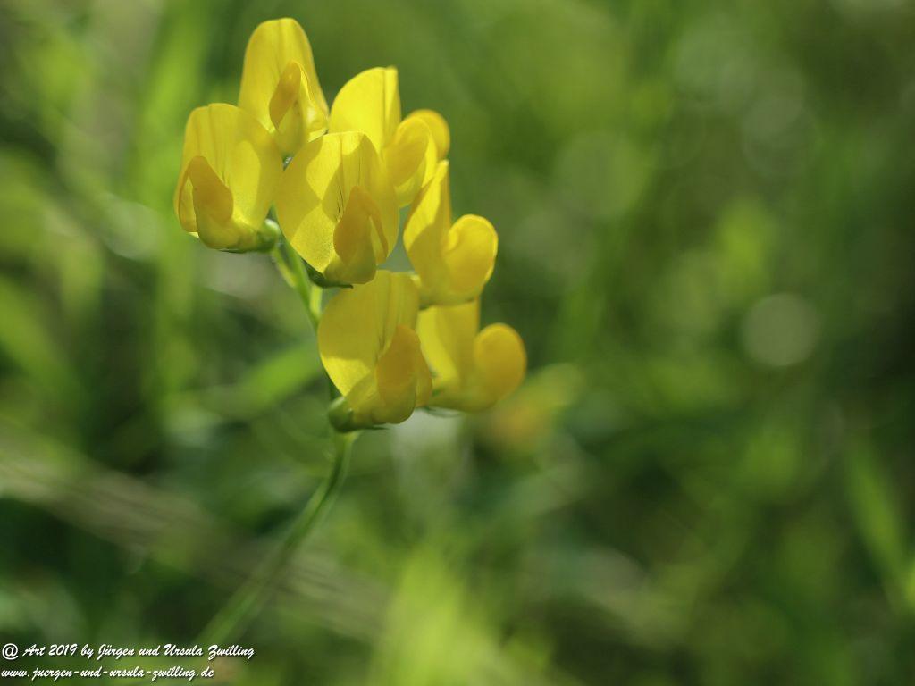 Herrenchiemsee - Schloss Herrenchiemsee - Chiemsee - Bayern