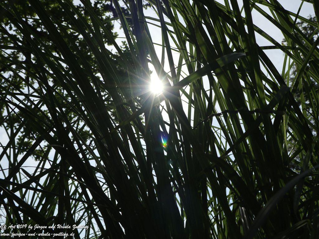 Herrenchiemsee - Schloss Herrenchiemsee - Chiemsee - Bayern