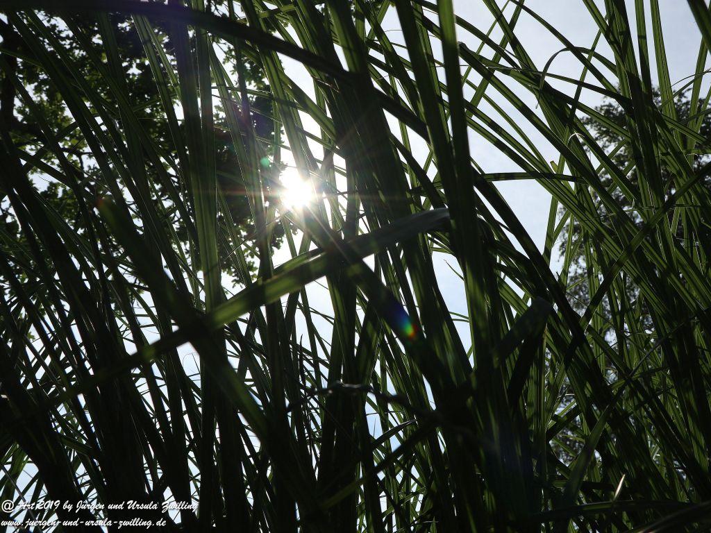 Herrenchiemsee - Schloss Herrenchiemsee - Chiemsee - Bayern