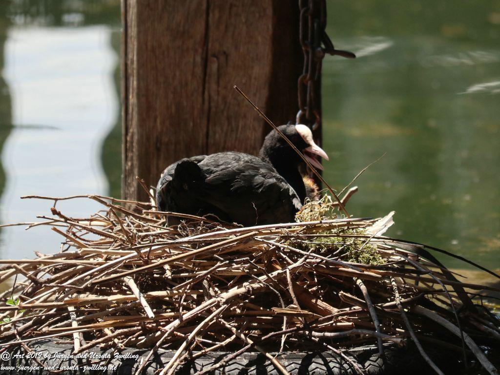 Chieming am Chiemsee - Bayern