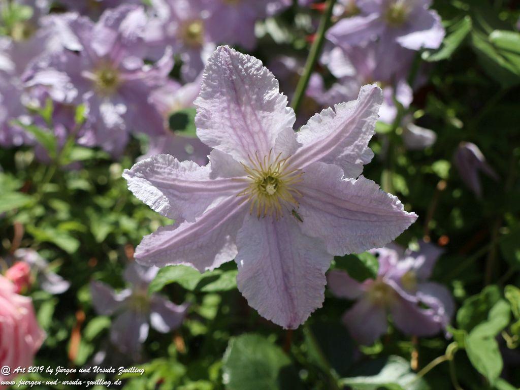 Chieming am Chiemsee - Bayern