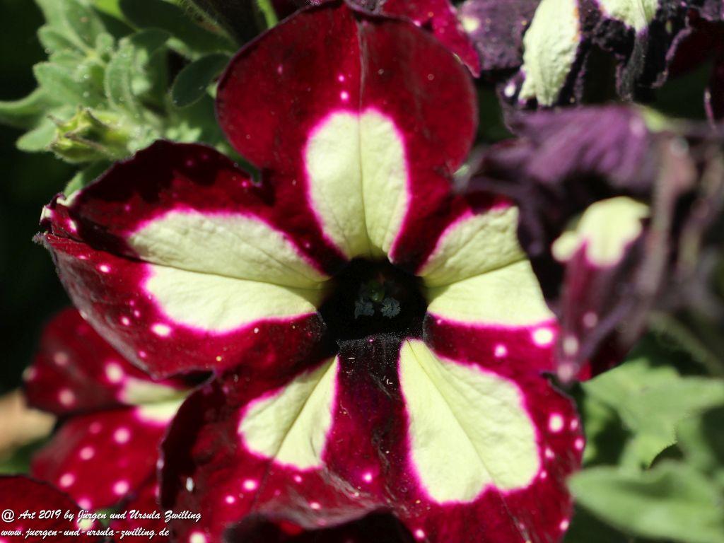 Chieming am Chiemsee - Bayern