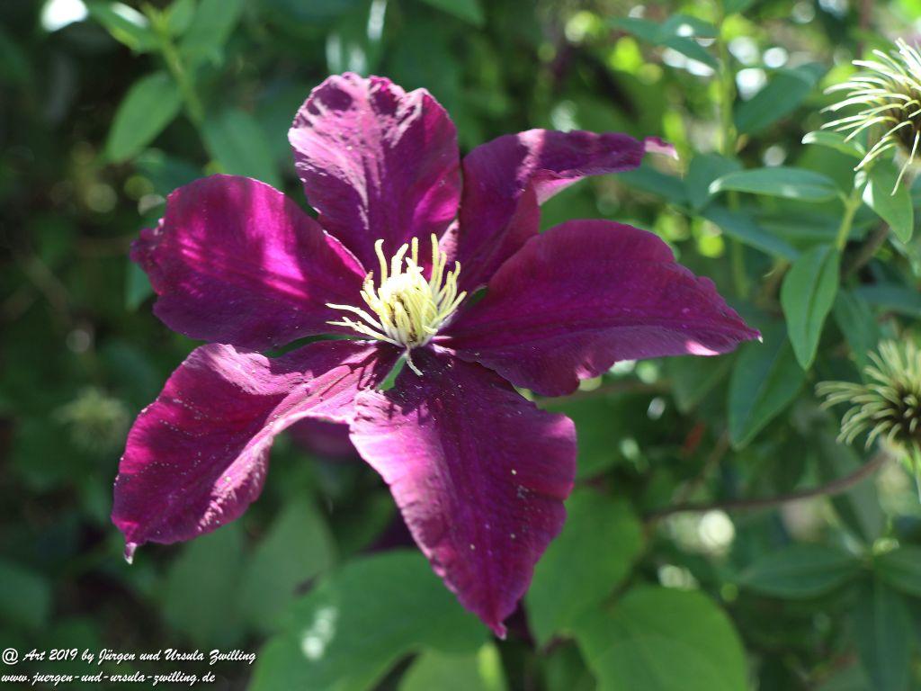 Chieming am Chiemsee - Bayern
