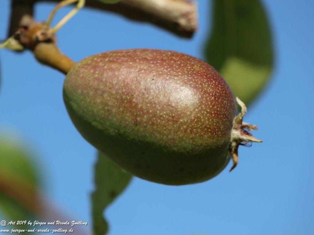 Rheinhessen - Mainz Finthen - Ober Olmer Wald