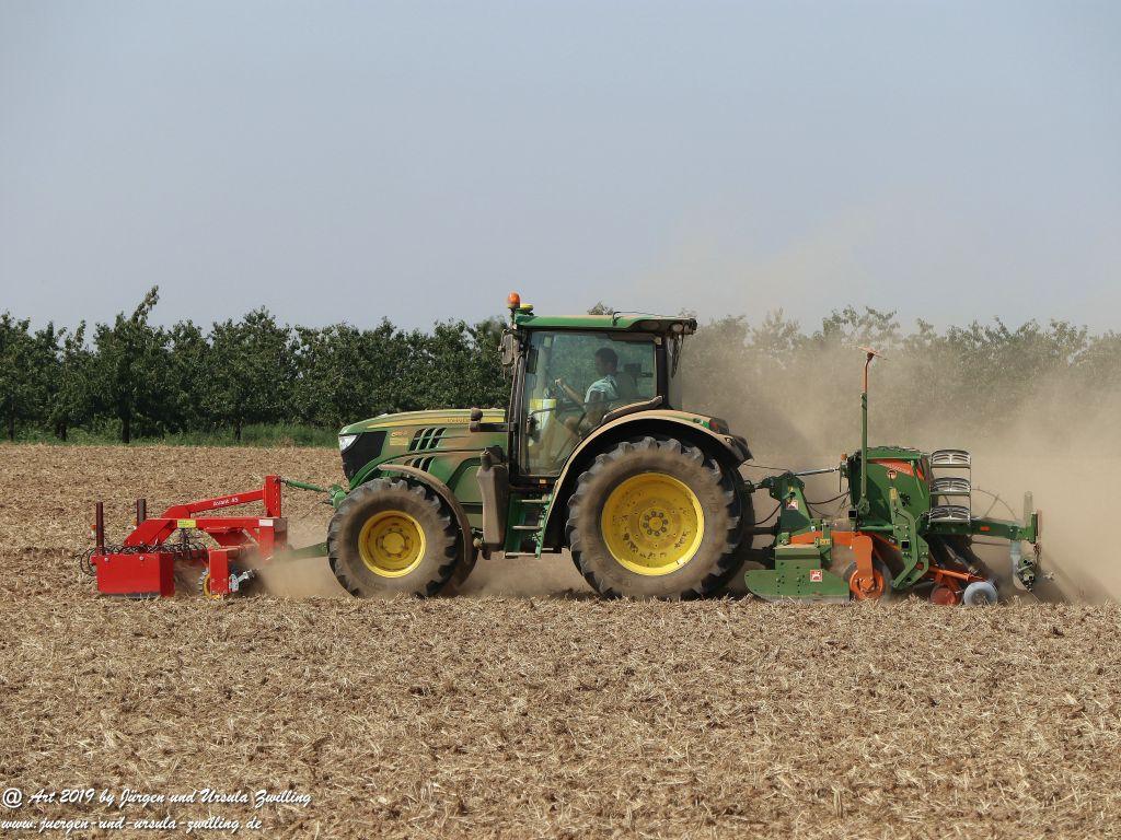 Rheinhessen im Sommer