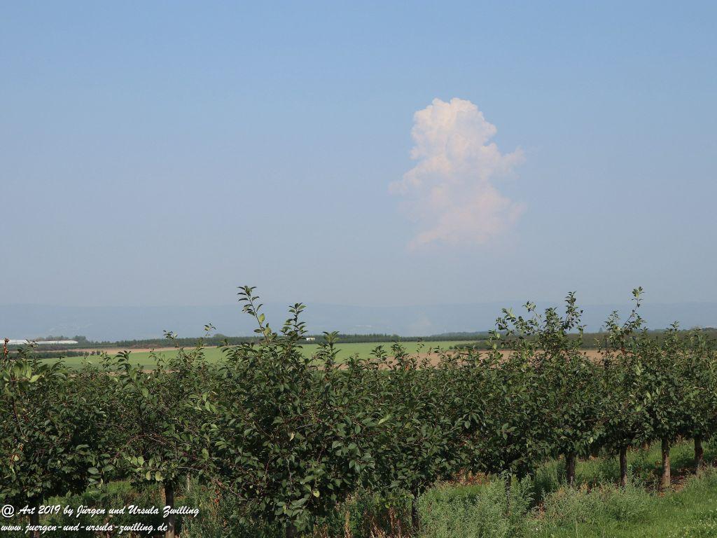 Rheinhessen im Sommer
