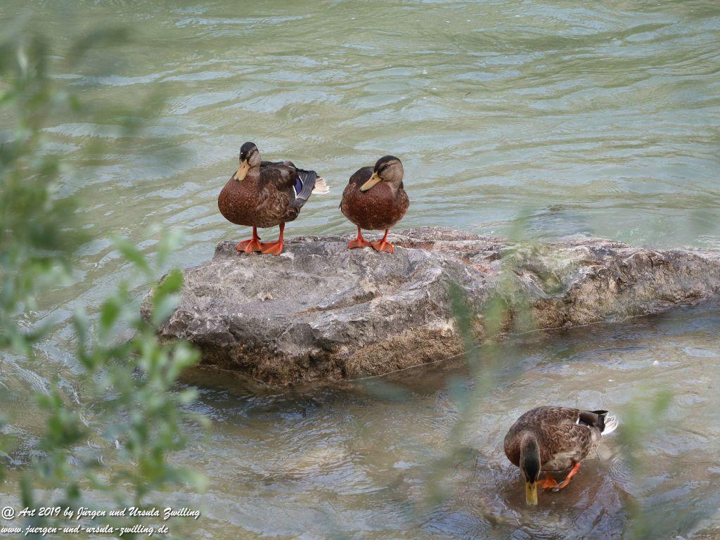 Rovereto - Oberitalien im Trentiner Etschtal am Leno Italien