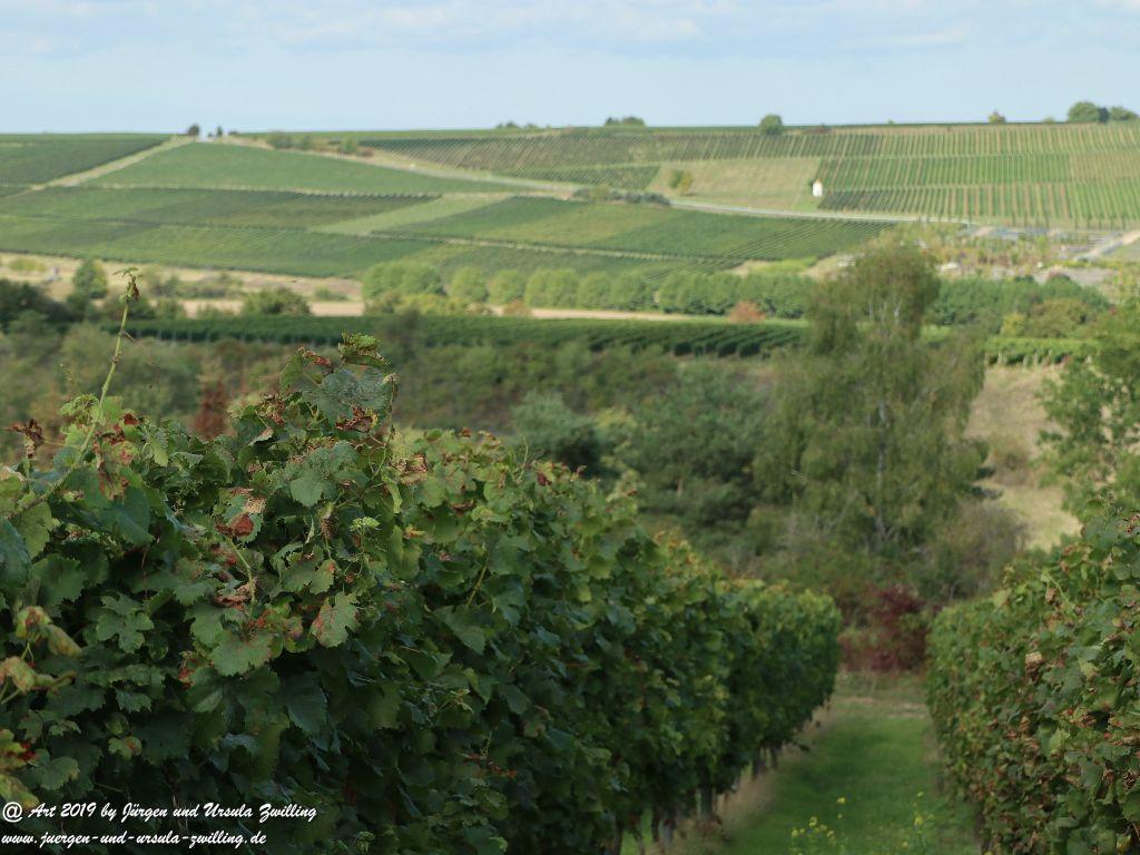 Philosophische Bildwanderung Küstenweg Rheinhessen - Rundweg Siefersheim