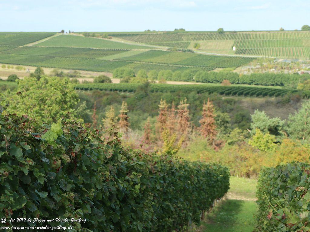 Philosophische Bildwanderung Küstenweg Rheinhessen - Rundweg Siefersheim