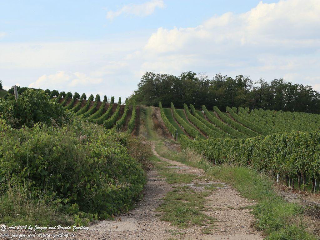Philosophische Bildwanderung Küstenweg Rheinhessen - Rundweg Siefersheim