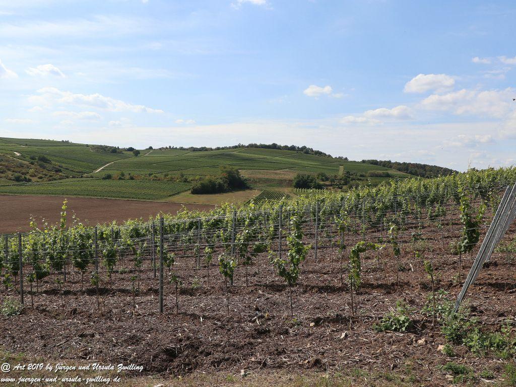 Philosophische Bildwanderung Küstenweg Rheinhessen - Rundweg Siefersheim