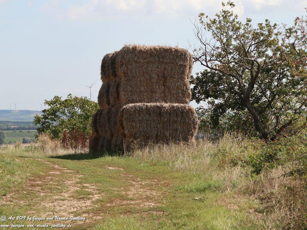 Philosophische Bildwanderung Küstenweg Rheinhessen - Rundweg Siefersheim