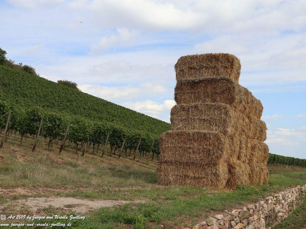 Philosophische Bildwanderung Küstenweg Rheinhessen - Rundweg Siefersheim