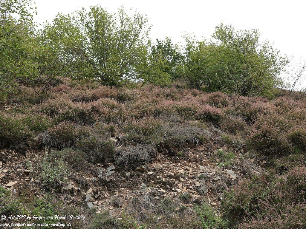 Philosophische Bildwanderung Küstenweg Rheinhessen - Rundweg Siefersheim