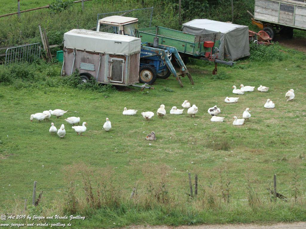 Philosophische Bildwanderung Küstenweg Rheinhessen - Rundweg Siefersheim